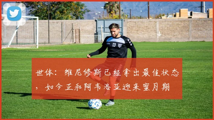 世体：维尼修斯已经拿出最佳状态，如今正和阿韦洛亚迎来蜜月期