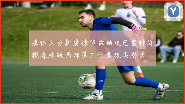 媒体人分析爱德华兹助攻巴雷特海报森林狼西部第三位置极具潜力