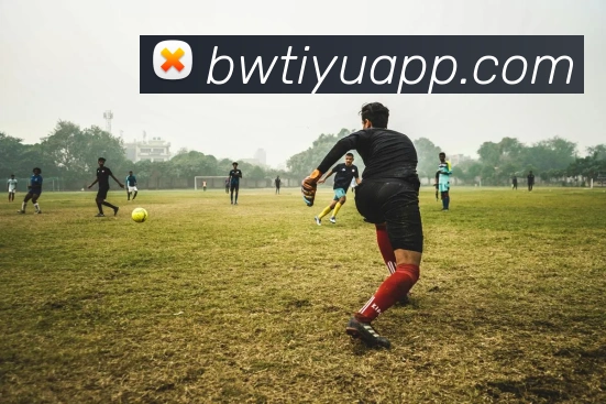 博万体育appAPP 封面图